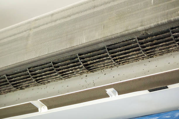 Best Air Duct Cleaning Near Me  in Helotes, TX